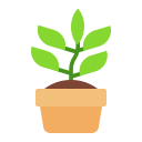 potted_plant