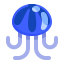 jellyfish