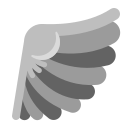 wing