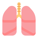 lungs