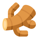 ginger_root